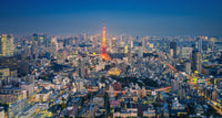 Tokyo Skyline Wall Art