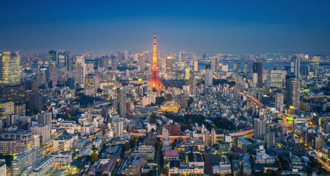 Tokyo Skyline Wall Art