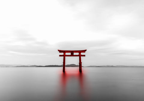 Torii Wall Art