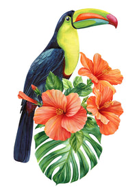 Toucan Vintage Orange Wall Art