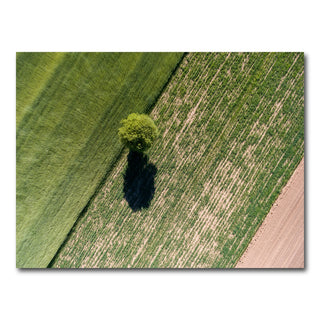 AUTO-MOCKUP WHITE | Tree Shadow | 1 Piece | Gallery Wrap Canvas | group=4x3