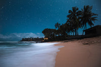 Tropical Beach Night Wall Art
