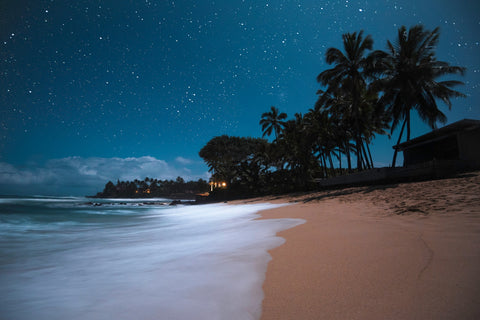 Tropical Beach Night Wall Art