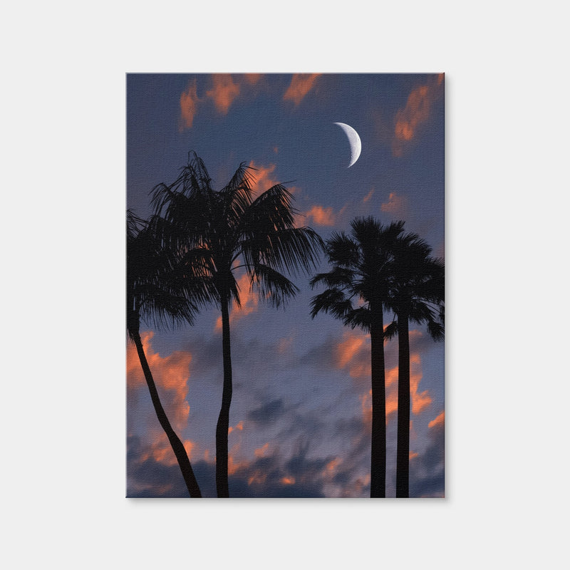 AUTO-MOCKUP | Tropical Night Wall Art | 1 Piece | Gallery Wrap Canvas | 3x4