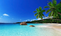 Tropical Paradise Wall Art