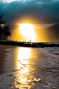 Tropical Sunset Wall Art