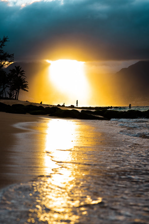 Tropical Sunset Wall Art