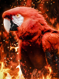 Tropical phoenix Wall Art