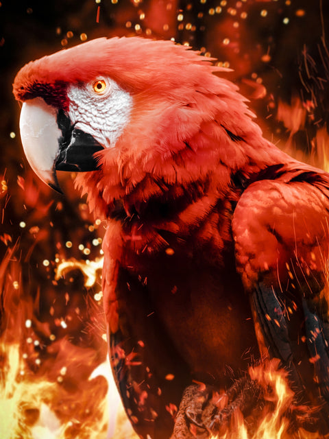 Tropical phoenix Wall Art