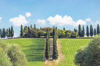 Tuscany Wall Art