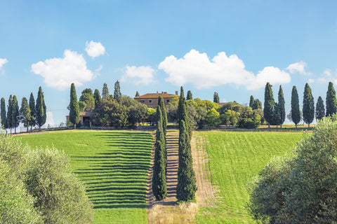 Tuscany Wall Art
