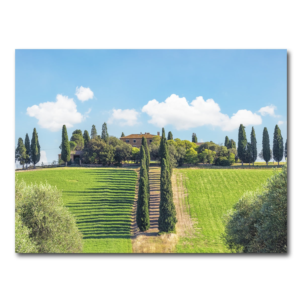 AUTO-MOCKUP WHITE | Tuscany | 1 Piece | Gallery Wrap Canvas | group=4x3