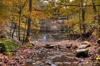 Twin Falls Autumn Wall Art
