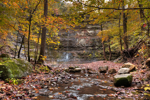 Twin Falls Autumn Wall Art