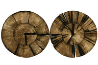 Two Stumps Wall Art