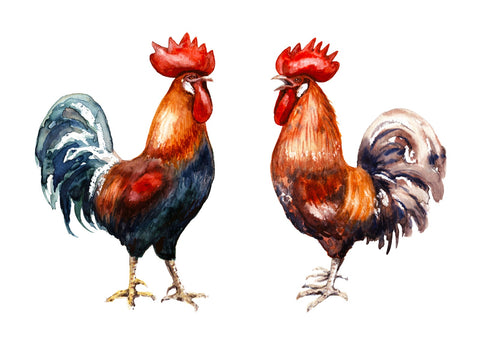 Two red roosters Wall Art
