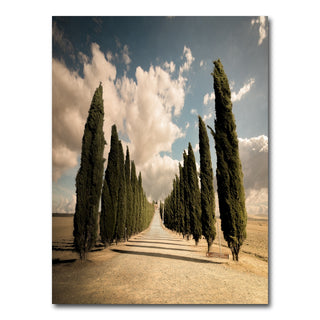 AUTO-MOCKUP WHITE | Val d'Orcia | 1 Piece | Gallery Wrap Canvas | group=3x4