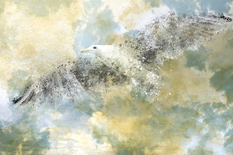 Vanishing Seagull Wall Art