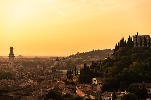 Verona panorama Wall Art