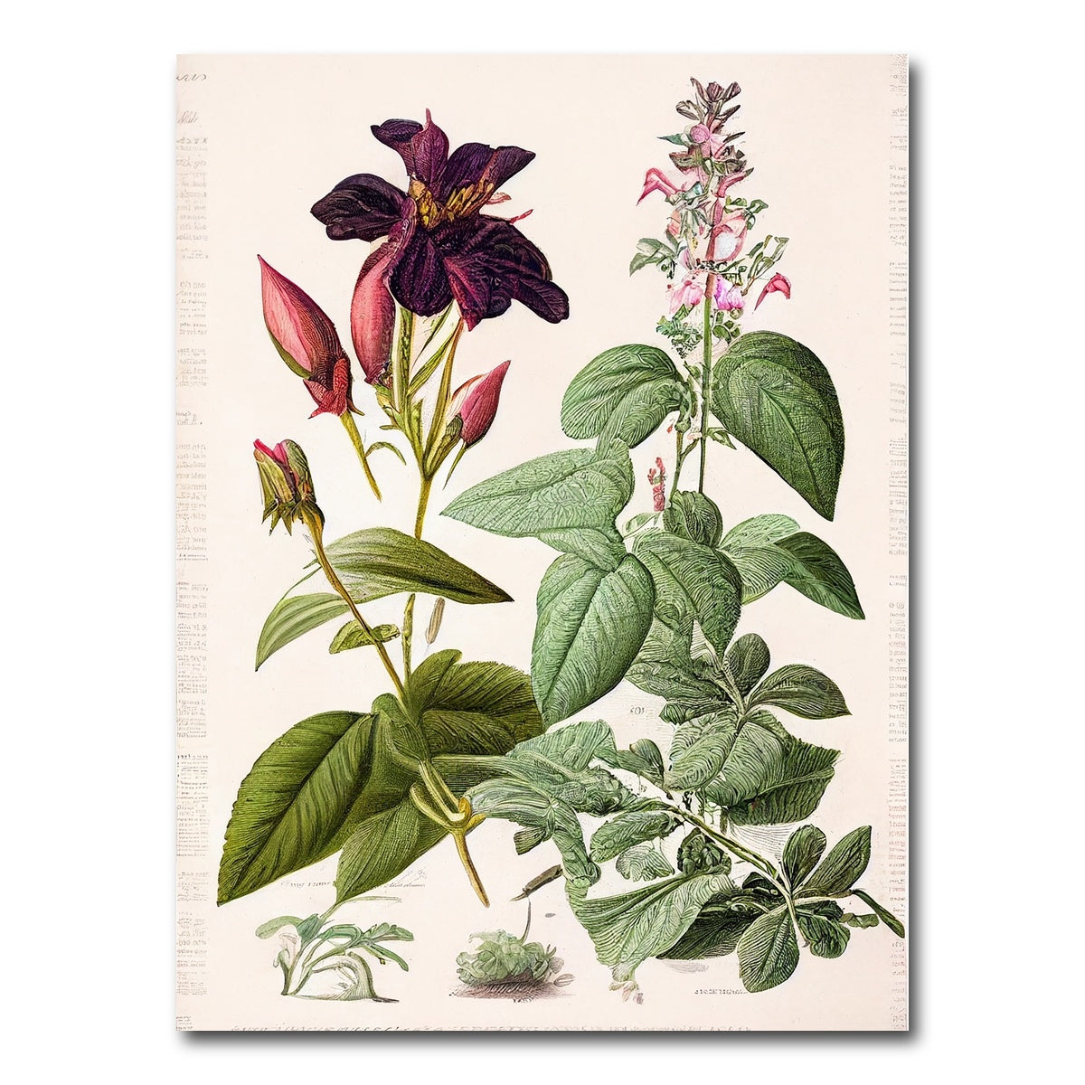 AUTO-MOCKUP WHITE | Vintage Botanical Print Series 5 | 1 Piece | Gallery Wrap Canvas | group=3x4