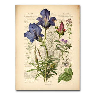 AUTO-MOCKUP WHITE | Vintage Botanical Print Series 7 | 1 Piece | Gallery Wrap Canvas | group=3x4
