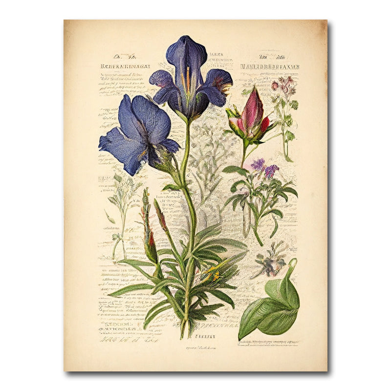 AUTO-MOCKUP WHITE | Vintage Botanical Print Series 7 | 1 Piece | Gallery Wrap Canvas | group=3x4