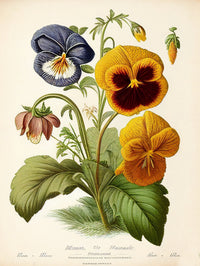 Vintage Botanical Print Series 9 Wall Art