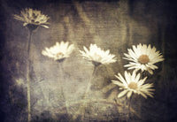 Vintage Meadow Flowers Wall Art