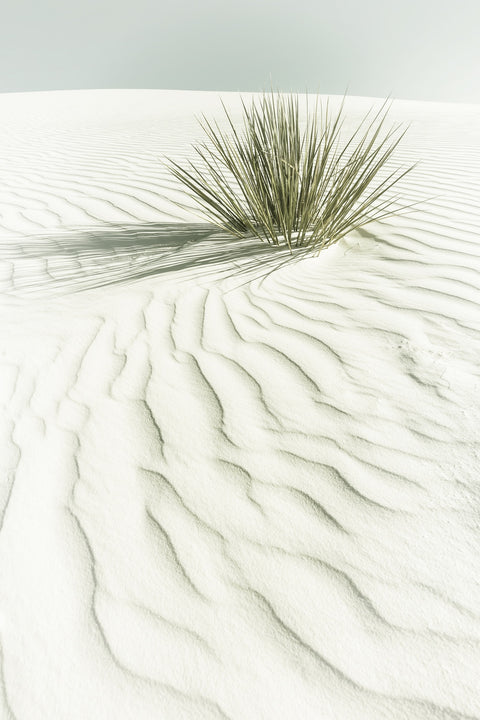 WHITE SANDS Idyllic scenery Wall Art