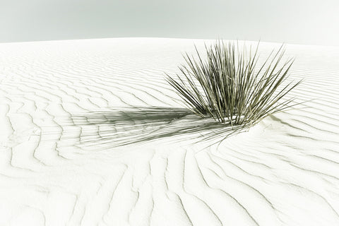 WHITE SANDS Vintage Dune Wall Art