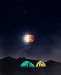 Wanderlust Wall Art