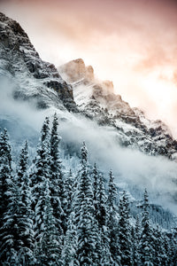 Warm and Cold Wall Art