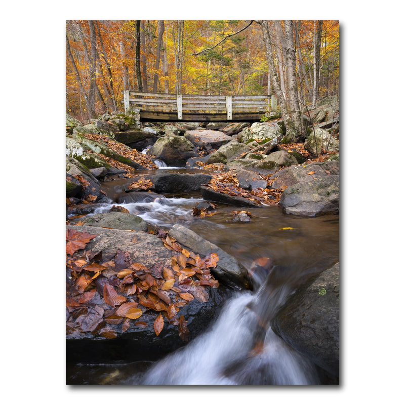 AUTO-MOCKUP WHITE | Water Under the Bridge | 1 Piece | Gallery Wrap Canvas | group=3x4