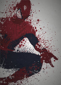 Web Slinger Wall Art