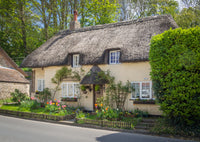 West Lulworth Cottage Wall Art