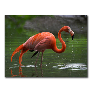 AUTO-MOCKUP WHITE | Wet Flamingo | 1 Piece | Gallery Wrap Canvas | group=4x3