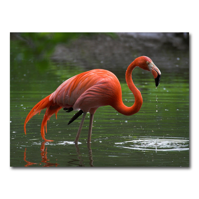 AUTO-MOCKUP WHITE | Wet Flamingo | 1 Piece | Gallery Wrap Canvas | group=4x3