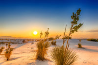White Sands Sunset Wall Art