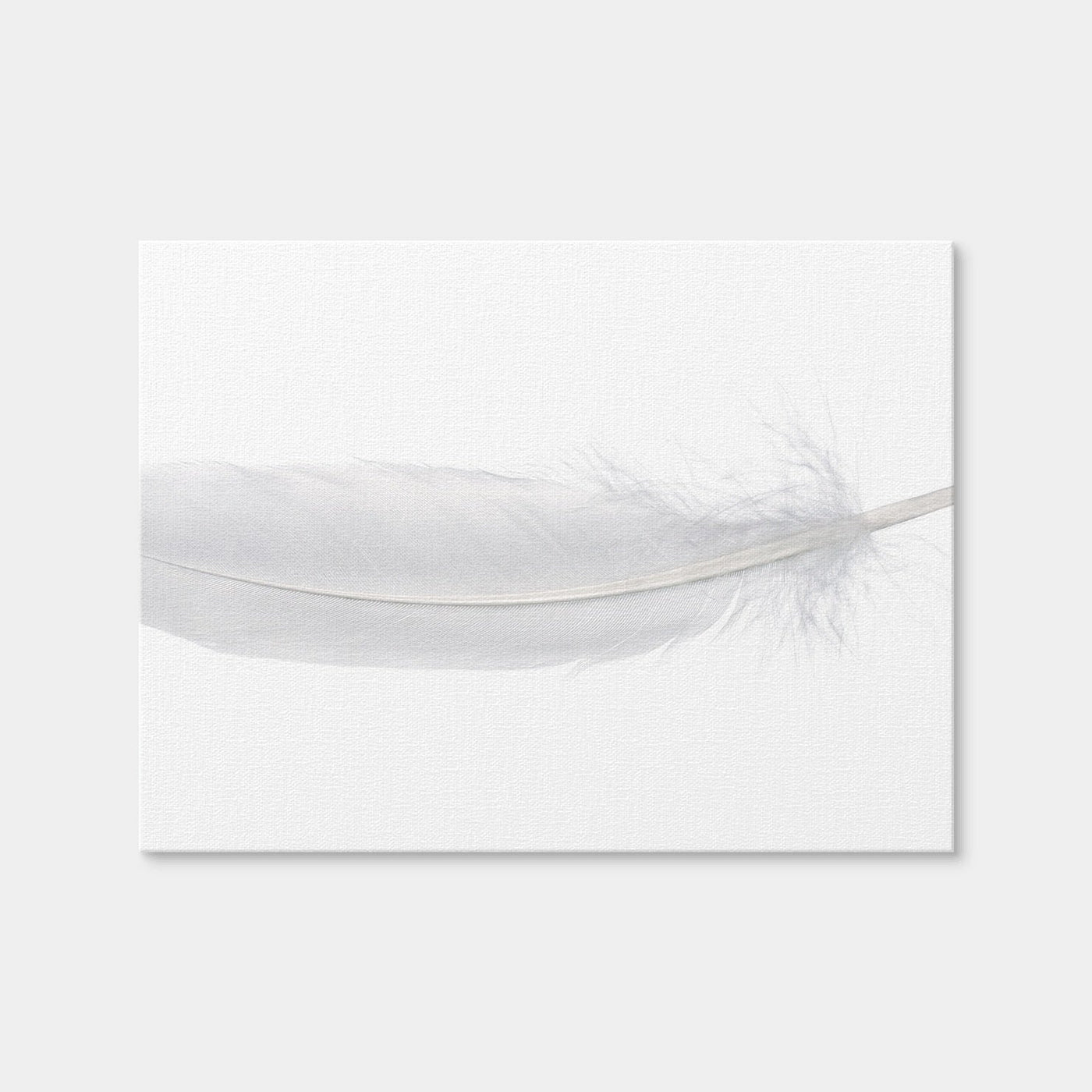 AUTO-MOCKUP WHITE | White Swan Feather | 1 Piece | Gallery Wrap Canvas | group=4x3
