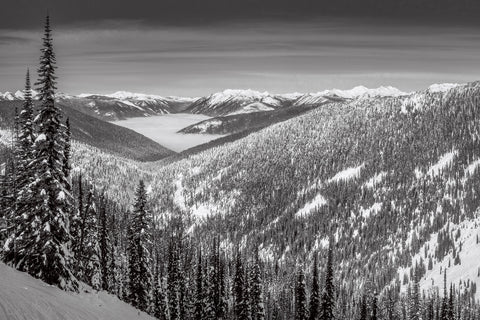 Whitewater Inversion Wall Art