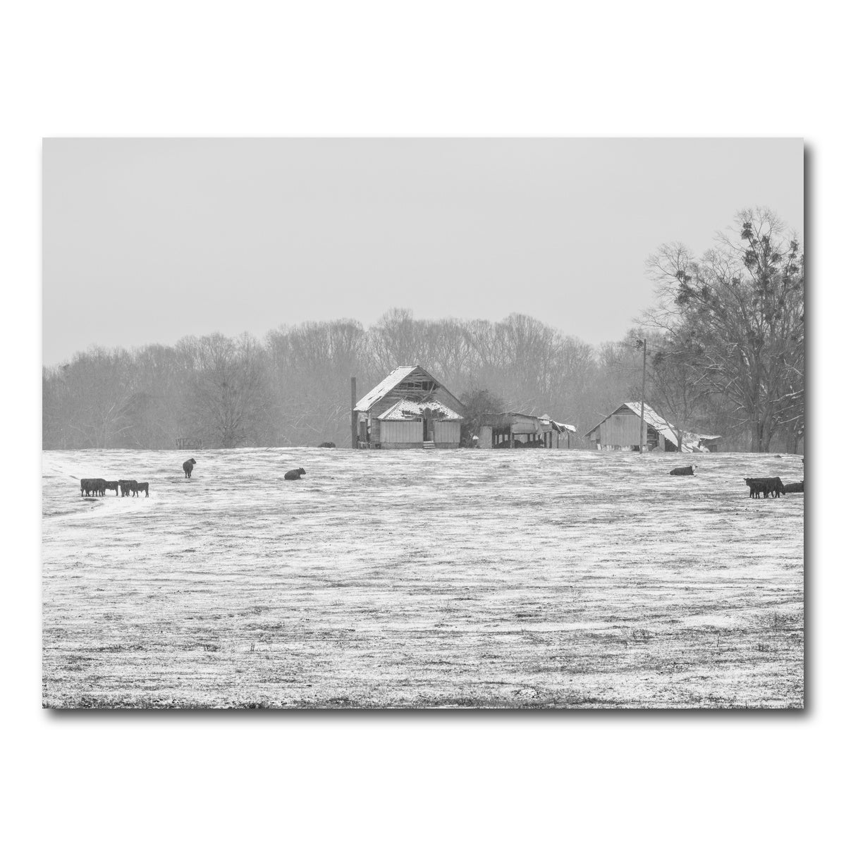 AUTO-MOCKUP WHITE | Williamston South Carolina | 1 Piece | Gallery Wrap Canvas | group=4x3