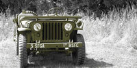 Willys jeep Wall Art