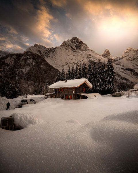 Winter II Wall Art