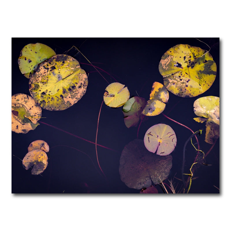 AUTO-MOCKUP WHITE | Winter Lillies | 1 Piece | Gallery Wrap Canvas | group=4x3