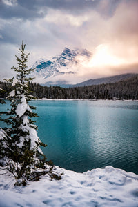 Winter Wonderland Wall Art