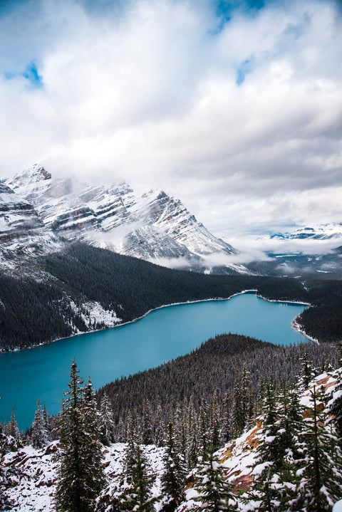 Wintry Peyto Lake Wall Art