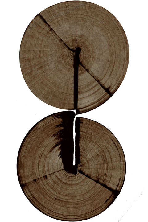 Wood Cracks Wall Art