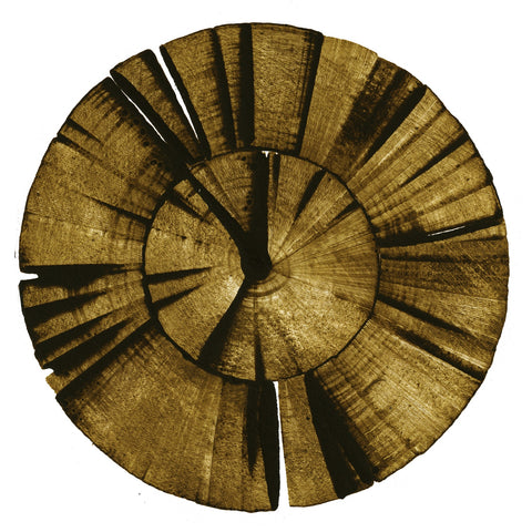 Wooden Spiral Wall Art