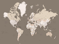 World Map 11 Wall Art