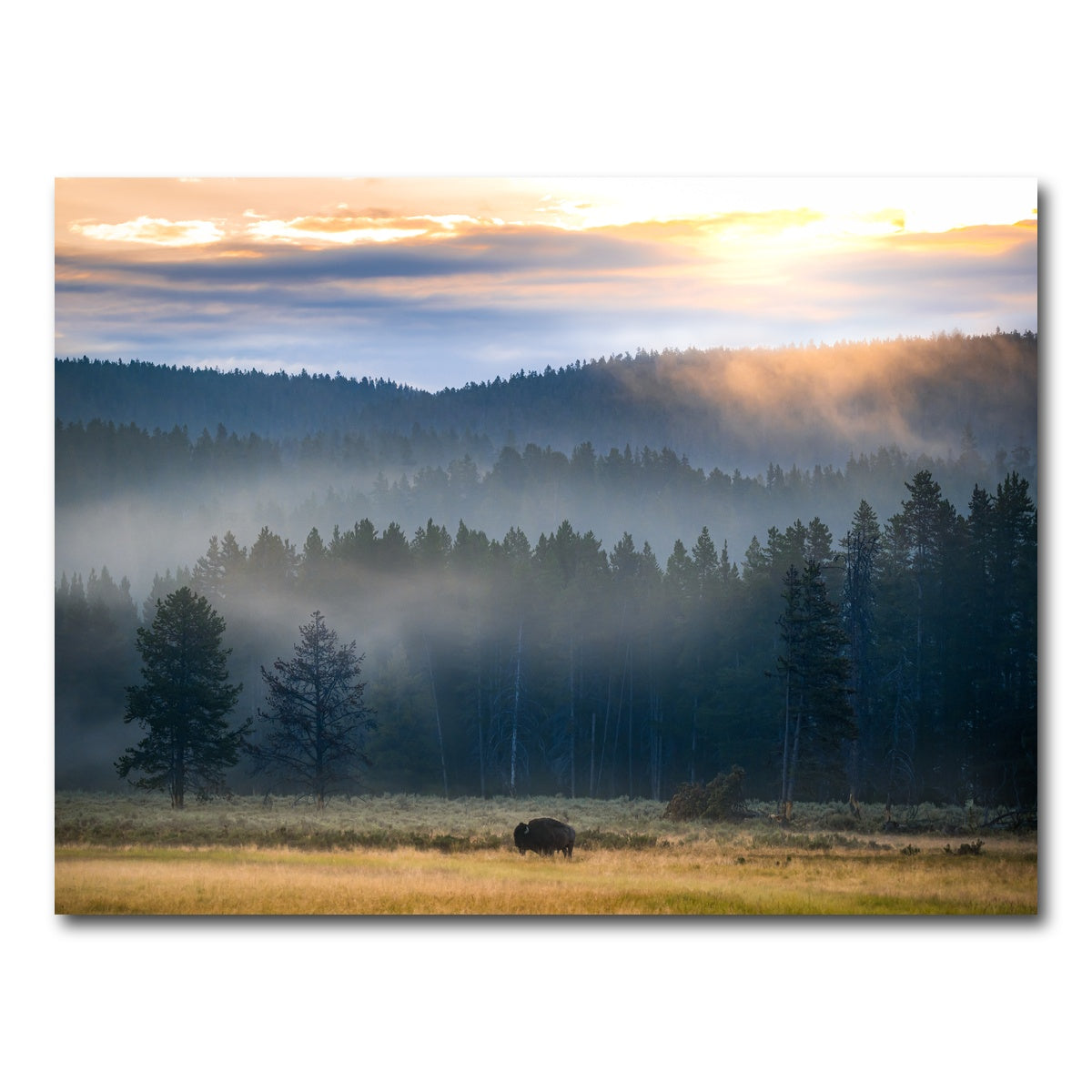 AUTO-MOCKUP WHITE | Yellowstone at Dawn | 1 Piece | Gallery Wrap Canvas | group=4x3